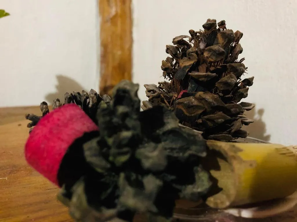 Hotel Pancho Villa Tulum